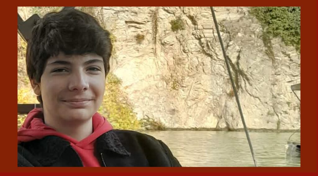 Մուշեղ Գագիկ Համբարձումյան/Տոնածառի խաղալիքը