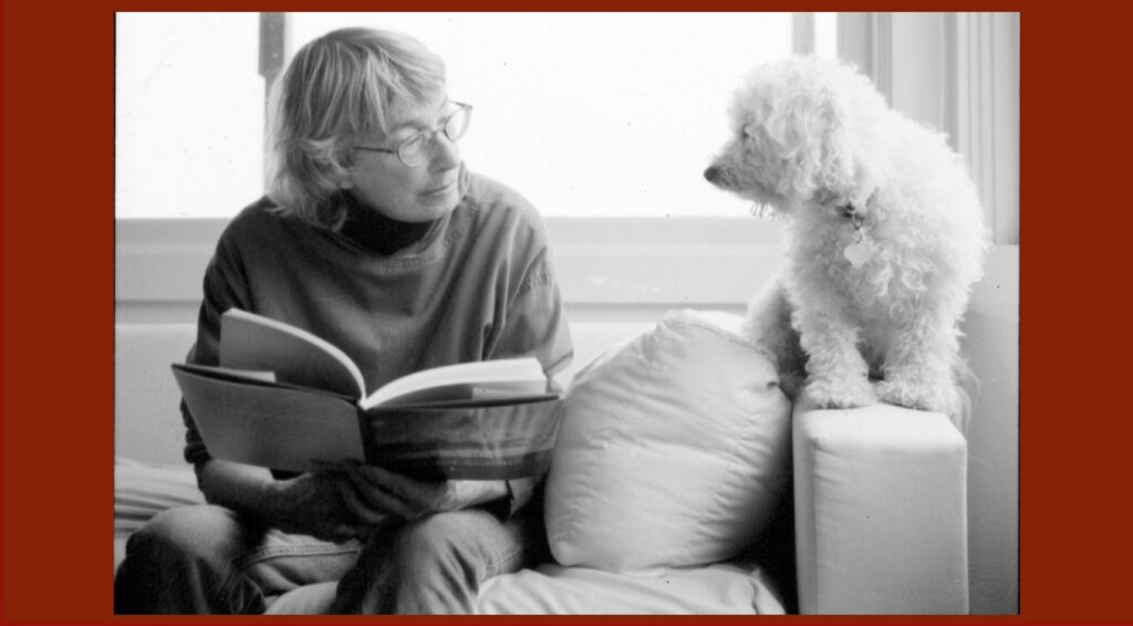 Մերի Օլիվեր/Արդյո՞ք քարերը զգում են/Էկոպոեզիա